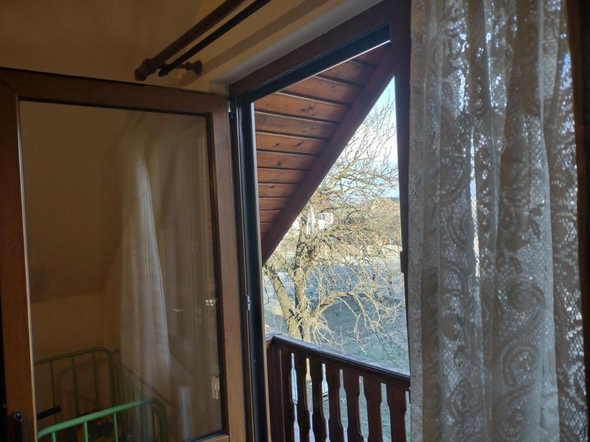 Pensiunea Ghita Vasile Vadu Izei Exterior foto
