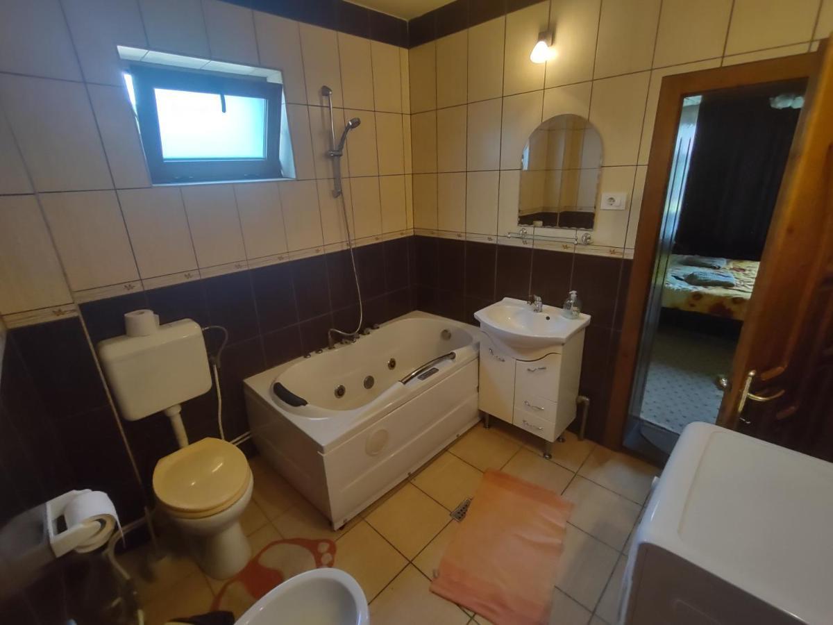 Pensiunea Ghita Vasile Vadu Izei Exterior foto